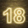 NAKEAH Numero 18 Insegna al neon a LED Luce modellante a LED Lettere luminose Cartello Pannello in acrilico Luce decorativa al neon, 40X30cm (Color : Warm White)