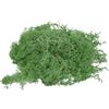 PATIKIL 1.8 OZ Finto Muschio Conservato Renna Muschio Artificiale Muschio Lichene Centrotavola Decoro Finta Muschio per Vaso Piante Natale Artigianato Verde