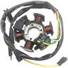 Generic 5931 Magnete Statore Per Volano AM6 50 Beta Derbi Malaguti Rieju YAMAHA Pole Charing Coil Racing Scooter Ciclomotore Electrosport Industries