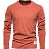 AIOPESON T-shirt a maniche lunghe in cotone 100% per uomo T-shirt da uomo casual primaverili solide T-shirt da uomo di alta qualità Abbigliamento classico T-shirt da uomo