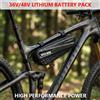 Aleaivy Batteria agli ioni di litio impermeabile 36V 48V Ebike 14Ah 12Ah 10A per scooter elettrico da bicicletta con caricabatterie BMS 20A Spina XT60