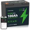 NONE Batteria LiFePO4 12V 50Ah/100Ah con protezione BMS per basse temperature, oltre 15000 cicli per camper/solare/campeggio