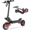 Free Boy Monopattino Elettrico Pieghevole per Adulti FREEBOY J15max, Batteria 48V18AH, Skateboard Elettrico con Pneumatici da 10 Pollici, E-Scooter