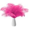 PATIKIL 8-10 Pollici(20-25cm) Piume di Struzzo, 30pz Piume Struzzo Artificiali Naturali Rinfusa per Decorazioni Centrotavola Feste Matrimonio Artigianato Rosa Rossa (6 Larghezza)