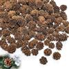 Minfuerang 200 Pezzi Pigne di Natale,1-4cm Mini Naturali Pigne (Marrone) | pigne di Larice Decorative per Natale,Avvento,Ringraziamento,Matrimoni, Autunno,Inverno,Fai da te