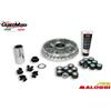 Malossi VARIATORE MULTIVAR 2000 SCOOTER YAMAHA X-MAX MAJESTY 400 2009 MALOSSI 5114148