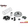 Malossi VARIATORE MALOSSI SCOOTER SUZUKI BURGMAN EPICURO SIXTEEN 125 150 CC 5111324