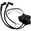 VortexLumen Unità di accensione 3B2-06170-0 3B2061700 Compatibile con motore per barche