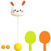 ZoraYorce Allenatore di ping pong sospeso portatile da appendere | Allenatore di palline da ping pong sospeso per ping-pong con esercizi visivi per bambini al coperto