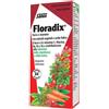 SALUS HAUS Gmbh & Co KG Floradix 84tav