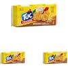 Lu Tuc Cracker, Integrale, Cotto al Forno con Grano 100% Italiano, 267g (Confezione da 3)