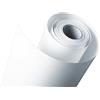 Epson Premium Semilucida Photo Paper, Carta Fotografica in Rotoli da 40.64 cm x 30.5 m