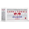 ACME Srl Carniton® B12 Granulato ACME® 20 Buste