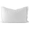 Zucchi COPRIGUANCIALE ZUCCHI BASICS IN SPUGNA JERSEY COPRI CUSCINO FODERA GUANCIALE CM 50 x 80