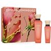 Adolfo Dominguez A.d. Mango Palmarosa Spray deodorante per ambienti ad acqua, 120 ml, più set da 60 ml