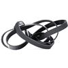 DAYCO 6PK2460 CINGHIA POLY-V AUDI V8 NW A6 VOYAGER