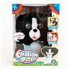 Dante Emotion Pets Cane Mascotte Nero