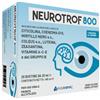 Interfarmac - Neurotrof 800 - Integratore alimentare in bustine