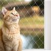 Rete per Gatti Rete Protettiva per Balcone Rete di Protezione (M) 3x8 m Rete per