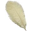 Sowder Piume di struzzo Sowder, 10 pezzi, 30-35 cm, decorazioni di nozze o per la casa Ivory