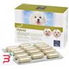 CAMON SPA ORME NATURALI HYBRID 60 COMPRESSE 1300 MG