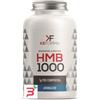 AQUA VIVA SRL HMB 1000 100 COMPRESSE