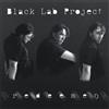 Black Lab Project Redeemed (CD)