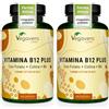 Vegavero Vitamina B12 Vegan 1000 mcg | con Acido Folico, Vitamina B6 e Colina | Metilcobalamina + Adenosilcobalamina (Forme Attive) | SENZA ADDITIVI | 180 capsule (Confezione da 2)