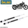 OHLINS TRIUMPH Bonneville Bobber 2017-2020 cartuccia OHLINS FKS 219 NIX 22