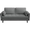 Soberine Divano a 2 Posti Divanetto da Salotto Imbottito con 2 Cuscini e Tasche Laterali Sofa Relax per Soggiorno camera da letto Appartamento Grigio Scuro