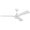 reiga 132CM Ventilatore da soffitto con motore CC con luce e telecomando