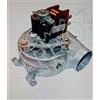 Immergas Ventilatore-estrattore Fumi Originale 1.028550