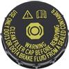 EMSea Tappo Serbatoio Fluido Freno Principale Per Auto A Clip 46020-AL500 Compatibile Con Nissan 350Z 370Z Altima 55x14mm
