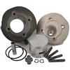 PINASCO 25010793 KIT CILINDRO GRUPPO TERMICO PINASCO Ø55 102cc IN GHISA APE 50