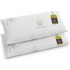 Remedi Cuscino viscoelastico 90 x 40 cm (confezione da 2 pezzi), nucleo compatto, cuscino in aloe vera, rigidità media, antiacaro, cuscino ergonomico, memory foam, sfoderabile, fodera lavabile a 40