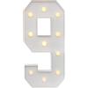 PHOYUXM Numero di luci a LED, 100 cm, numero grande con lampadine, 0 1 2 3 4 5 6 7 8 9, con scatola della batteria, 2000 - 3000 K, per feste di laurea, matrimoni (9)