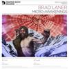 Brad Laner Micro-awakenings (Vinyl LP) 12" Album