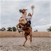 Janet Devlin Emotional Rodeo (Vinyl LP) 12" Album