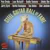 Various Artists Steel Guitar Hall Of Fame (CD)