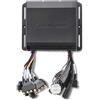 Rockford Fosgate Raymarine Punch networked Black Box Medi Amplificatore, Unisex Adulto, Bianco, Taglia Unica