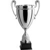 Hole Gadget Coppa Trofeo Personalizzabile con Manici Classici in Metallo a Specchio Calcio, Fantacalcio, Tennis, Padel, Basket Premiazioni Sportive ed Eventi con Targhetta Personalizzata cod 1.161 (59 cm)