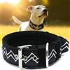 HQSHNY Collare per cani grandi NeckShield Kontroll - Collare per cane largo 5 cm con imbottitura extra spessa e maniglia, protezione professionale, 58‑66 cm, nero carbonio