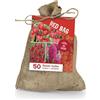 Bloomique - Mix di 50 - The Red Bag - Mix rosso - Tulipani, Giacinti, Ixia - Bulbi - Fioritura primaverile - Perenni