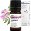 Aroma Labs Geranio Rosato BIO (Pelargonium graveolens - Egitto) - 5 mL - Olio Essenziale Chemiotipizzato e Certificato AB - Aroma Labs - Made in France