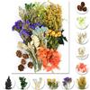 iDattel Fiori secchi Naturali,Fiori secchi per Resina,Mix di Fiori Naturali, Set di Fiori essiccati per Fai da Te, Fai da Te, in Resina, Album di Ritagli(Verde e Viola)