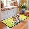 Tinyboy-hbq Zerbino Personalizzato con Foto Tappeto Ingresso Antiscivolo Lavabile Zerbini Personalizzati per Cane Gatto Famiglia Regalo Casa 60x120cm
