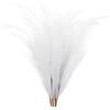 PATIKIL 7pz Decorazione Pampas Alta 37,8 pollici per Casa Decor Boho Bianco