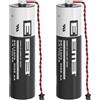 EEMB ER14505 AA 3,6V Batteria al litio 2700mAh con DF3-2S-2C (2 pezzi)