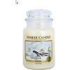 Yankee Candle Samplers Candele Votive Vanilla, Cera, Bianco, 5x4.5x5.3 cm