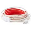 PLAYLUZ Striscia Led 220v 2835 120 Led/m ALTA LUMINOSITÀ, Adesivo e INTERRUTTORE. IMPERMEABILE Bianco freddo/Neutro/Caldo Waterproof IP67 striscia (Bianco Caldo, 1M)